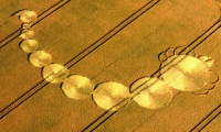 Crop circle