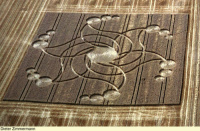 Crop circle