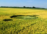 Crop circle