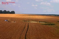 Crop circle