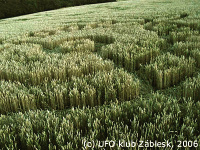 Crop circle