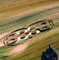 Crop circle