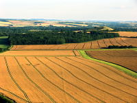 Crop circle