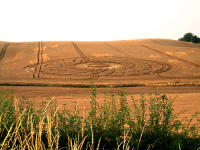 Crop circle