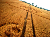 Crop circle