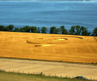 Crop circle