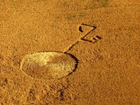 Crop circle