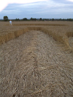 Crop circle