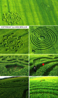 Crop circle