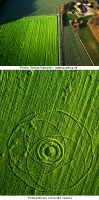 Crop circle