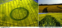 Crop circle