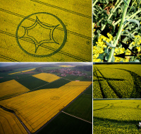 Crop circle