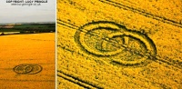 Crop circle