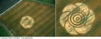 Crop circle