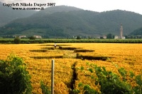 Crop circle