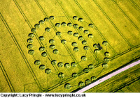 Crop circle