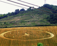 Crop circle