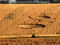 Crop circle