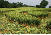 Crop circle