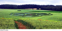 Crop circle
