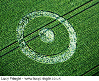 Crop circle