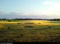 Crop circle