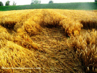 Crop circle