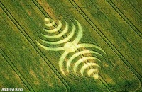 Crop circle