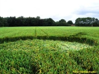 Crop circle