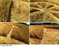 Crop circle
