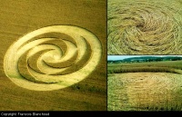 Crop circle