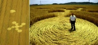 Crop circle