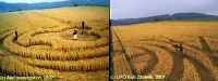 Crop circle