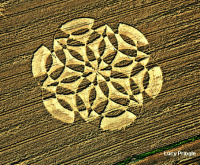 Crop circle
