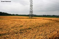 Crop circle