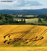 Crop circle