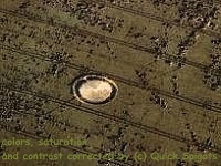 crop circles