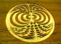 crop circles