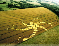 crop circles