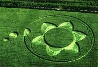Crop circles