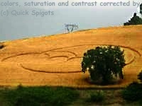 Crop circles