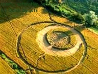 Crop circles