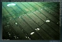 crop circles