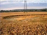 crop circles