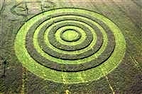 crop circles