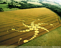 crop circles