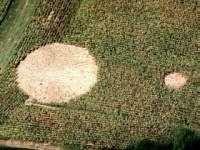crop circles