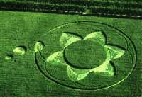 crop circles