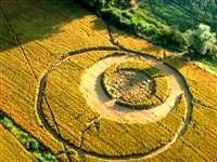 crop circles