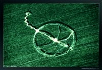 crop circles